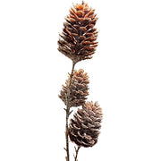 Zapfenzweig ArtificialNature, Kunststoff, 60 cm