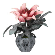 Gilder - Getopfte Pflanze „Protea“