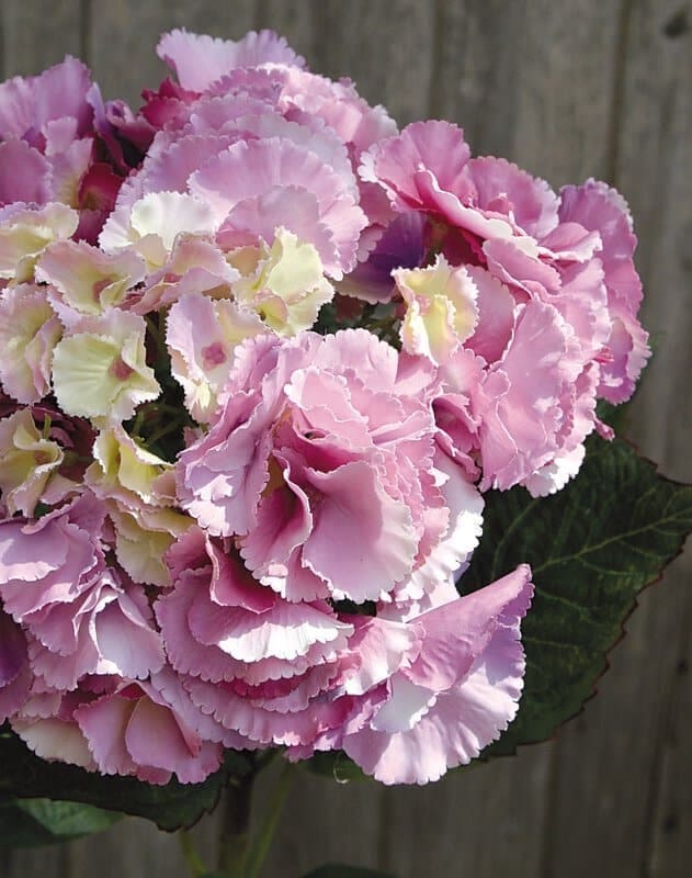Hortensie Kunstpflanze pink
